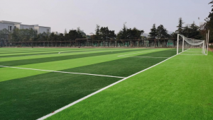 足球场不踢足球违法吗？探究其中法律界限与相关规定