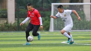 哪支足球队踢球最干净：探寻绿茵场上的纯粹与坚守