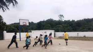 学校足球课收费情况如何？具体收费标准是多少？