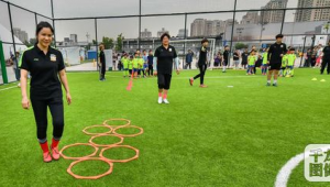 移栽红梅与足球要求有关吗