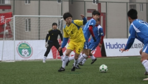 湖外有足球俱乐部吗