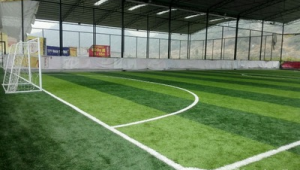 足球俱乐部是否拥有专属球场?答案在这里揭晓