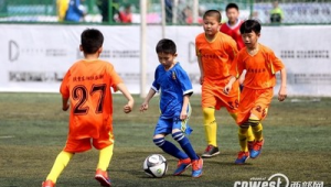 十块钱的儿童足球能用吗？质量、安全性等多方面考量引关注