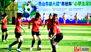 河北唐山足球学校可靠吗？深度剖析其背后真相与实际情况