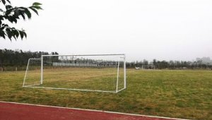 足球比赛场地:究竟是不是真草皮?