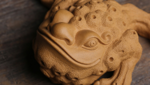 足球金蟾献宝是真的吗？真相究竟如何令人探寻！