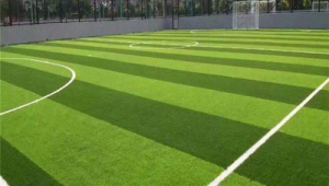 冬季公园绿地能否建足球场?多方因素待考量