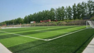 足球场能否养草皮？解析场地草皮养护的现实与考量
