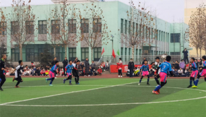 秦皇岛哪学足球最好 探寻足球学习的优质之地