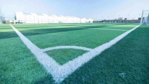 足球场上的十个组成部分:球、门、球员、教练、裁判、看台、草坪等