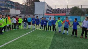 橡皮泥捏的足球能踢吗？探究其作为足球的可行性