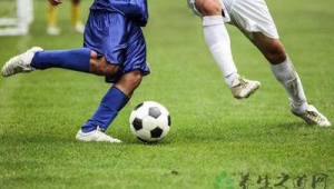 踢足球时手能否着地?规则与实际情况全解析