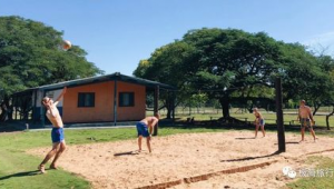 踢足球时究竟可不可以脱上衣，背后隐藏着哪些规则与争议？