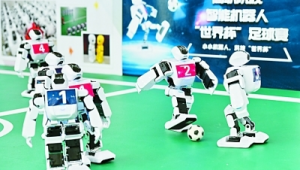 室内足球是否存在合理冲撞？探讨其规则与实际情况