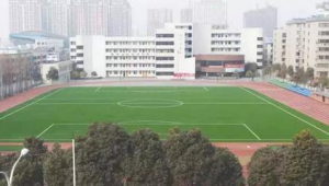 长虹中学是否拥有足球场？这一疑问引发关注
