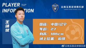 足球俱乐部联赛是否存在国籍限制？深度剖析与解读