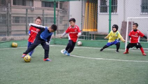 你弟弟每天都玩足球吗