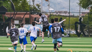 在飞盘场玩足球违法吗？带你探究其中法律界限与争议