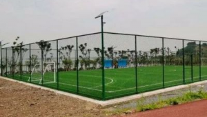 芜湖有足球示范区吗