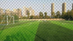 武汉聚星足球场免费与否？一文带你揭开背后真相