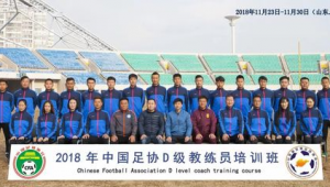 足球协会是否属于公共部门：探究与解析