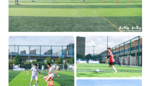 宁围足球公园如今收费情况揭秘