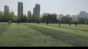 足球社团孩子值得上吗？深度剖析其对孩子成长的利弊