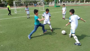 哪款足球适合小学生踢，为孩子挑选合适足球的指南