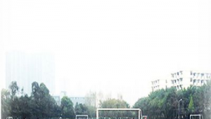 西华大学有足球场吗