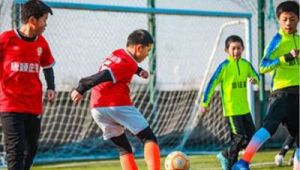 私教训练足球是否违法?探究其中法律界限与风险