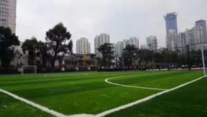 做足球的材料有毒吗?带你深入探究足球材料的安全性