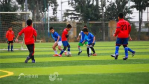 足球俱乐部进足校是否必要?全方位剖析利弊得失