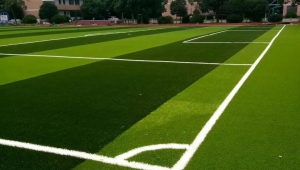 足球场常用的两种形状草皮，你知道是哪两种吗？