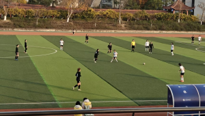 现代女子足球诞生年份揭秘：开启足球领域别样精彩篇章