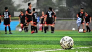 足球单招好考的学校有哪些