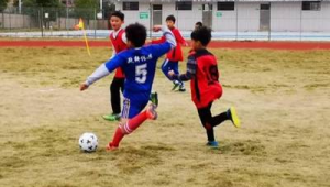 新丰小学女生是否踢足球