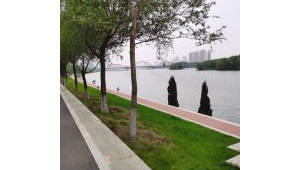 足球公园卖水可行否？探究其中利弊与前景