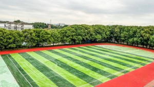 武珞路中学是否拥有足球场，你知道答案吗？