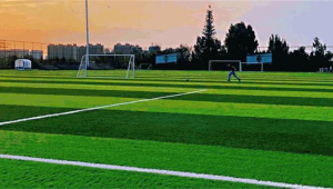 曲江足球场今天收费吗