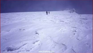 足球场占地7200米？关于足球场占地面积的那些疑问与真相