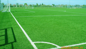 有封闭正规足球场吗，满足运动需求，畅享专属场地时光