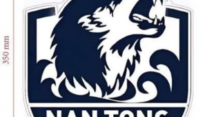 足球队队徽是大号吗？探究其背后的尺寸奥秘与意义解读