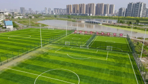 柳林公园有足球场吗?探寻公园内是否藏着足球爱好者的天地