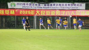 大良足球公园是否开放？最新情况揭秘