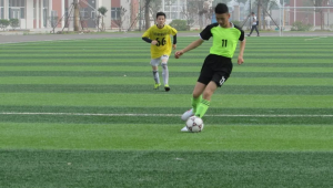 踢足球对儿童有好处吗？探究这项运动给孩子带来的多面影响