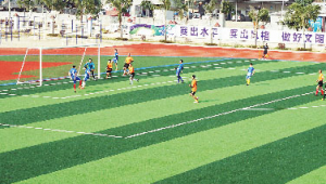 华侨城足球场收费情况如何？一文为你揭晓答案