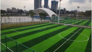 城东公园足球场收费情况如何？一文带你了解详情