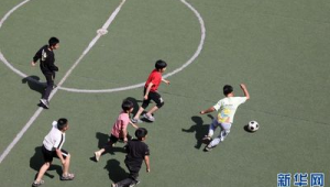 河南小学生是否热衷于踢足球？探寻足球在校园的热情之火
