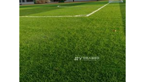 大庆足球场最近是否出租?