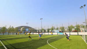 儿童足球乐园免费吗？快来一探究竟，开启足球欢乐之旅